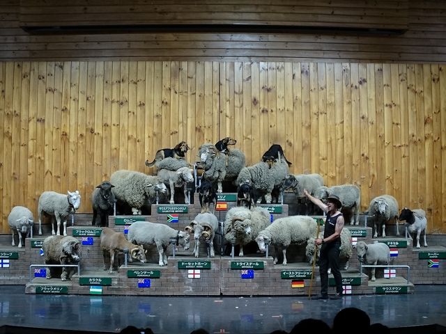 �V�[�v�V���[_�}�U�[�q��