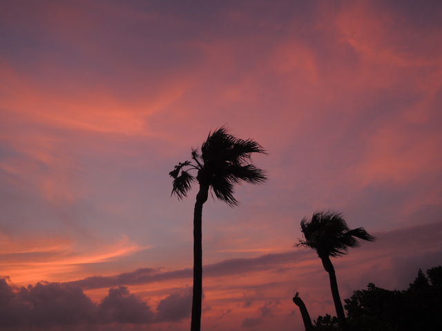 ������������c_��l�C�l������l�r�[�`