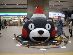 ����ǂ�����̂i�q�F�{�w�ւ̓��e�ʐ^1