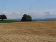 jpzizoo̔nKCh̎R̓eʐ^1