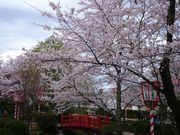 �ǂ�݂���̑Ő������̍��E�c�c�W�̓��e�ʐ^1