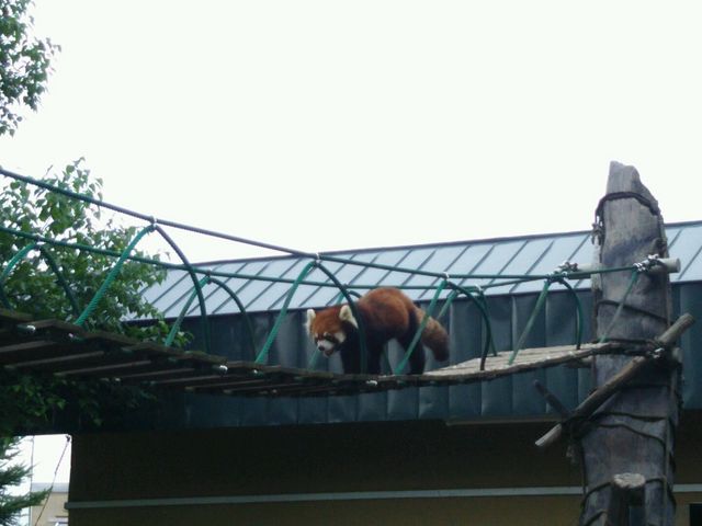 �n���Ă�Ƃ��댩�ꂽ�I_���R������