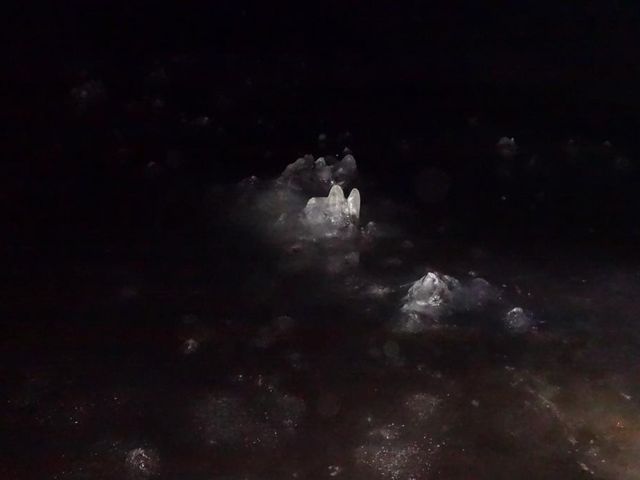 N͉JȂ̂ŁAXȖڂłB_AEgobNEAhx`[cA[Y