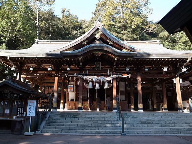 Ђł񂳂̎_Ђ̓eʐ^1