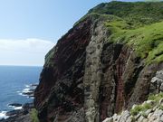 lhm`lh̒mvԕǂ̓eʐ^1