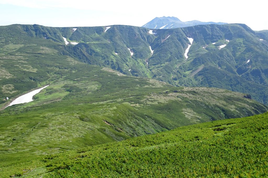 油絵「ニセイカウシュペ山」