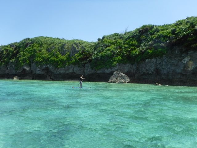 �ݐ؃N���[�W���O_�O���C�h�p�h���T�[�r�X