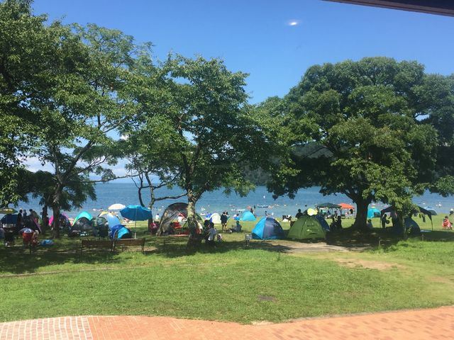 hana***̋xɑ ߍ] ق̓eʐ^1