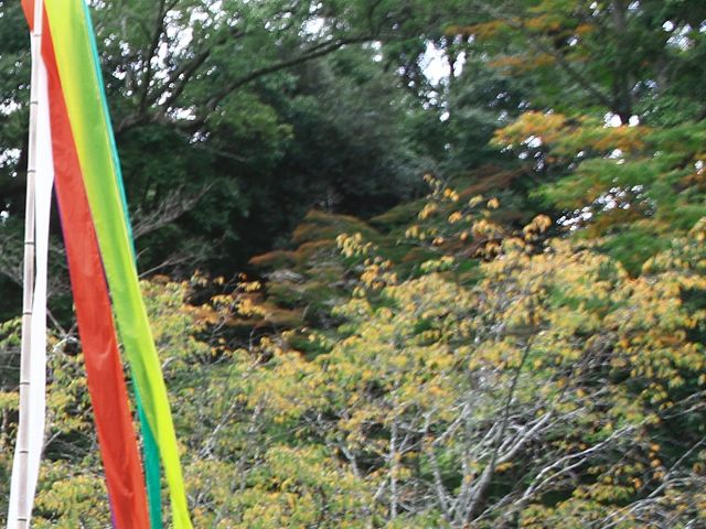 �g�t_�ΎR���̍g�t