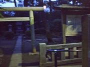 cJ擙X͂̏Zl̏CMvȂ̓̕eʐ^1