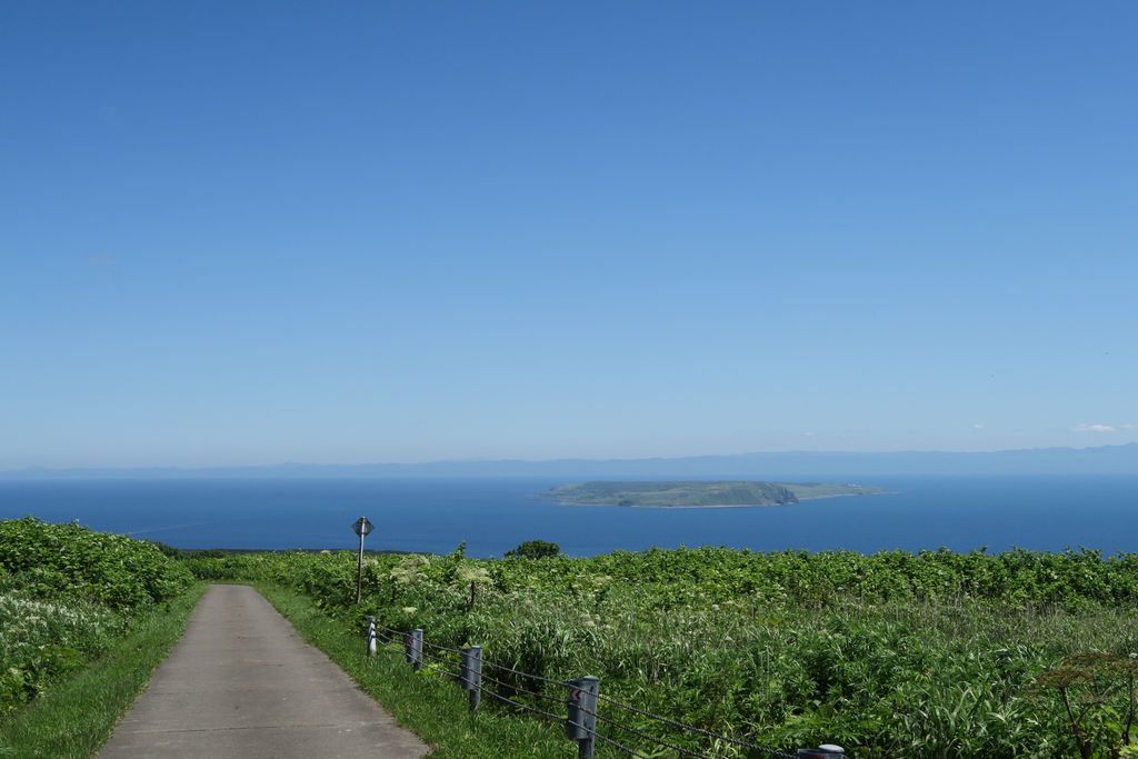 天売島