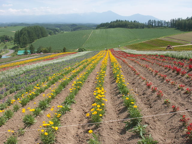 �Ԕ�_�l�G�ʂ̋u