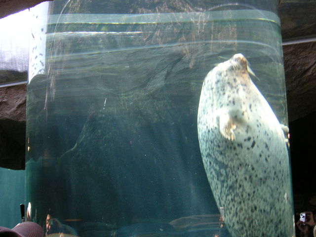 �����炵_���R������