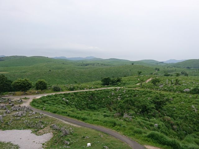 ���n������̃J���X�g_�H�g��J���X�g�W�]��