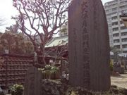 �g�����\����̑�v�ەF���q��̕�̓��e�ʐ^1