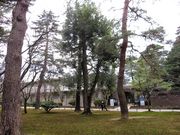 񂳂̐ΐ쌧`YƍH|ق̓eʐ^3