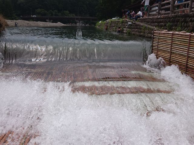 ȏ͏qǂłSČĂVяꂾƎv܂_쓴ˊόi