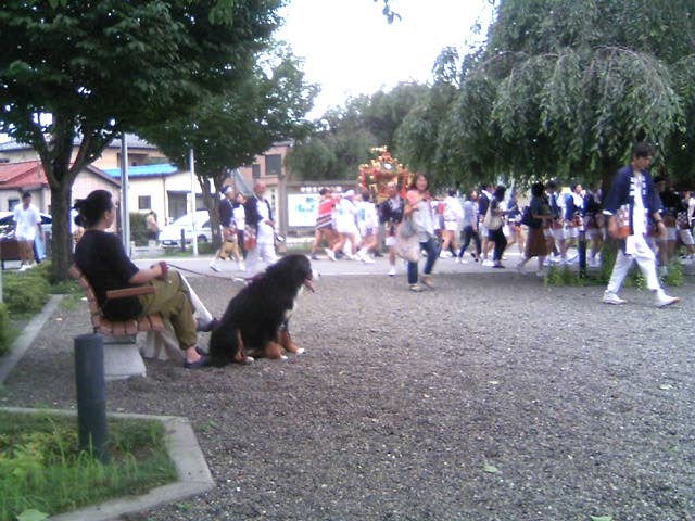 �Ղ�̍Œ�_�F�s�{�隬����