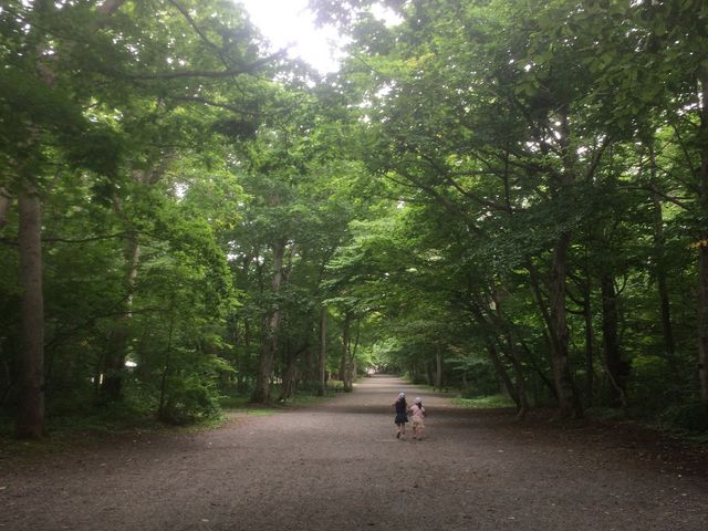 �}���ّ�����������ɓ������Ƃ���B_�t����