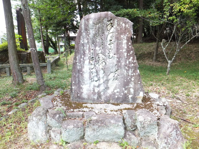 ڂ炳̔mԋi_Ёj̓eʐ^1