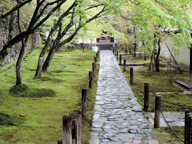 EɋȂĐiޓ͖{ւ̎QAȇۂJɔGĔ_x