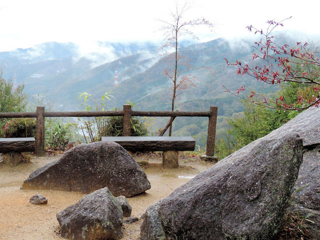 R̓̊ېՂؒÐ쉺ʂ𒭂߂_}u