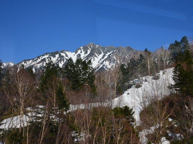 �䍂�A�� �V�䍂���[�v�E�F�C�R���w����̒���_�䍂�A��