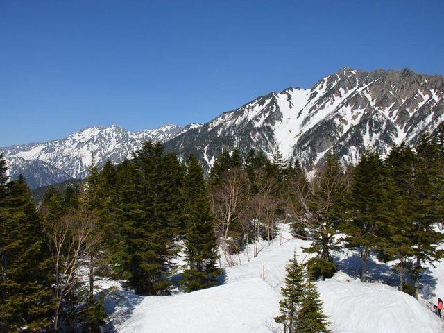 �䍂�A�� �V�䍂���[�v�E�F�C�R���w����̒���_�䍂�A��