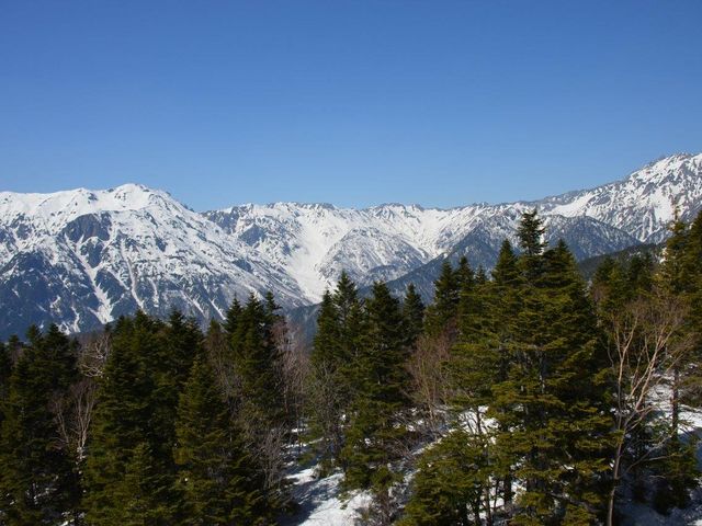 �䍂�A�� �V�䍂���[�v�E�F�C�R���w����̒���_�䍂�A��