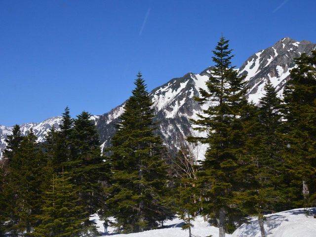 �䍂�A�� �V�䍂���[�v�E�F�C�R���w����̒���_�䍂�A��