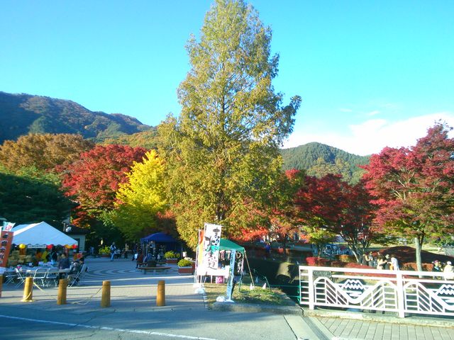 �͌��΍g�t�܂�_�͌��Έ��