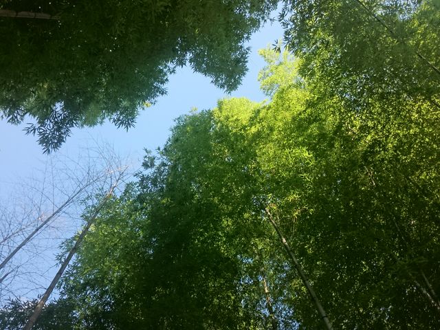 ������̓��̓��D���猩�グ���i�F�B������܂���B_���݂̂��A���݂̂��@�������@����