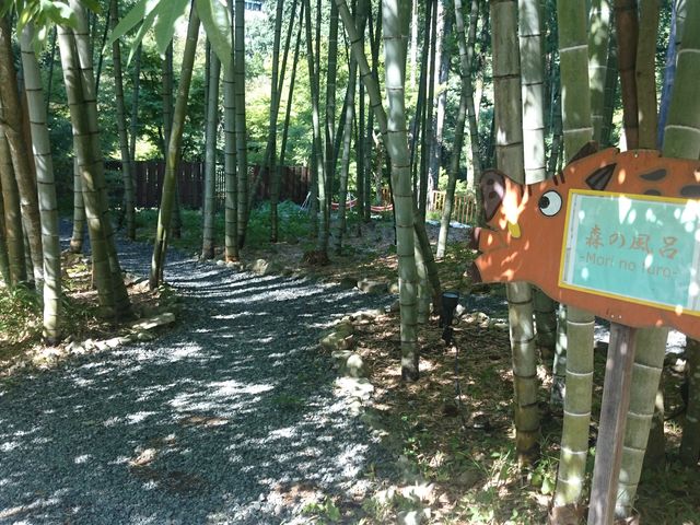 �ݐؘI�V���C�u�X�̕��C�v�͒|�т̒��ɂ���܂��B_���݂̂��A���݂̂��@�������@����