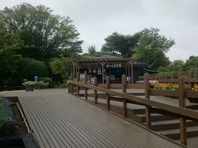 ꂨ񂳂̂炬̓eʐ^1