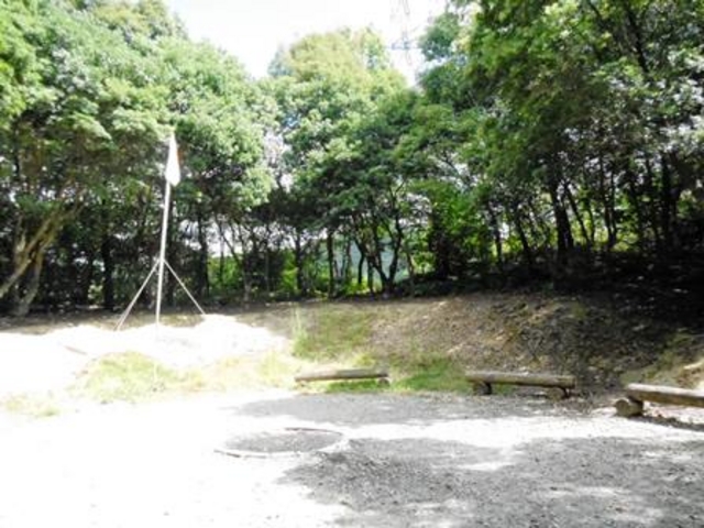 ���R�̒��ŗV��_�t����s���N���R�̉�