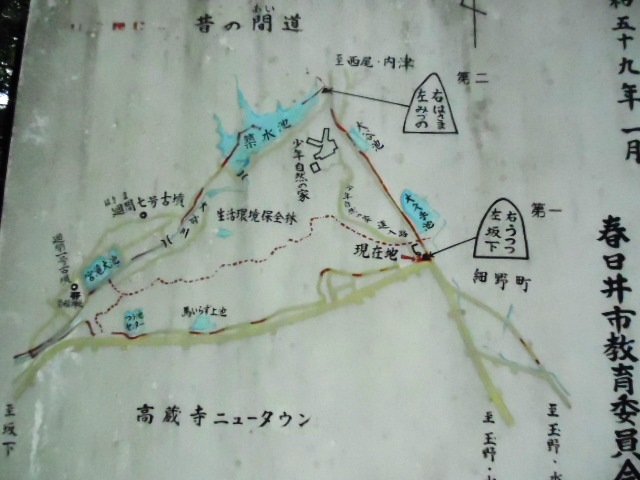 �~�n�ʐς͍L��_�t����s���N���R�̉�