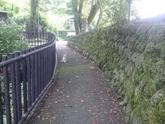 ꂨ񂳂̏oւ̓eʐ^9