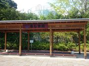 ꂨ񂳂̕􉷐̓eʐ^3