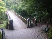 ꂨ񂳂̏o̓eʐ^8