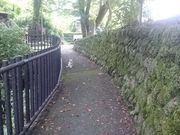 ꂨ񂳂̏o̓eʐ^9