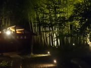 ꂨ񂳂݂̐̂Â݂@@̓eʐ^14