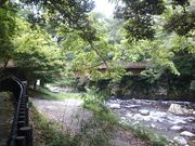 �ꂨ�񂳂�̓��P������̓��e�ʐ^15