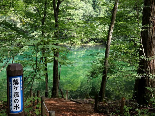 �r�̎ʐ^������_�����E�̒r