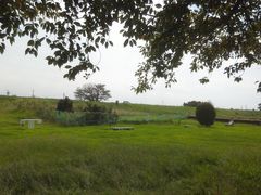 木曽川扶桑緑地公園の写真一覧 じゃらんnet