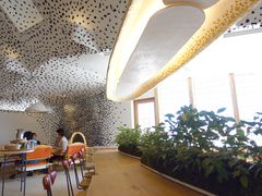 񂸂̃R[i ߍ]ւ̓eʐ^1