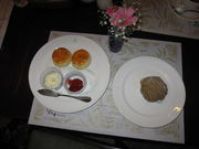 �Ҋ�����̌I�̖؃e���X�̓��e�ʐ^1