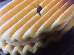 ̂̂肳̌یXւ̓eʐ^1
