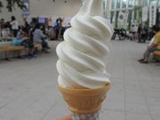 kamǎܗŊs^[W]PKJtFX^h̓eʐ^1