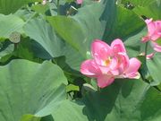 ݂݂݁[̓̉w cӂꂠ̗̓eʐ^1