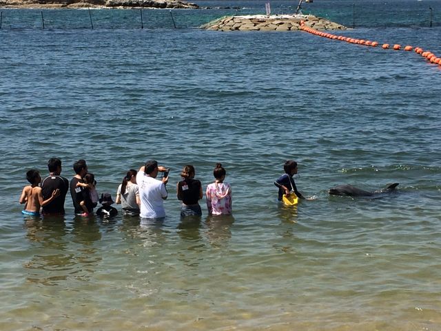 �h���t�B���^�b�`�I
�ł��L���ł��c_�T���Z�b�g�r�[�`